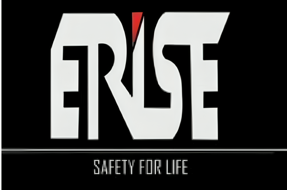 ERISE WIRE Logo