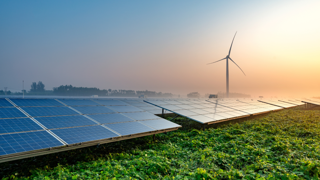 Solar panels in feild